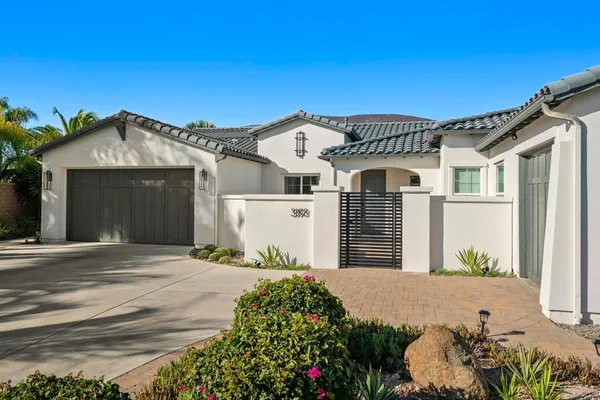 a view of a garden with plants
