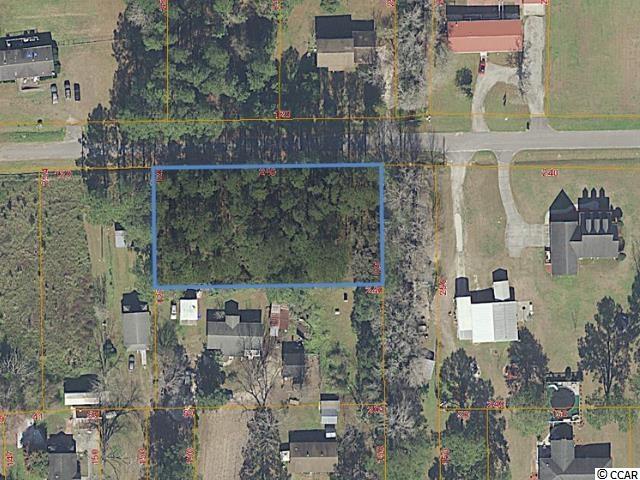 Ten 10 Crossing Road Longs, SC 29568 - Photo 7 of 7 Gallery Image 7