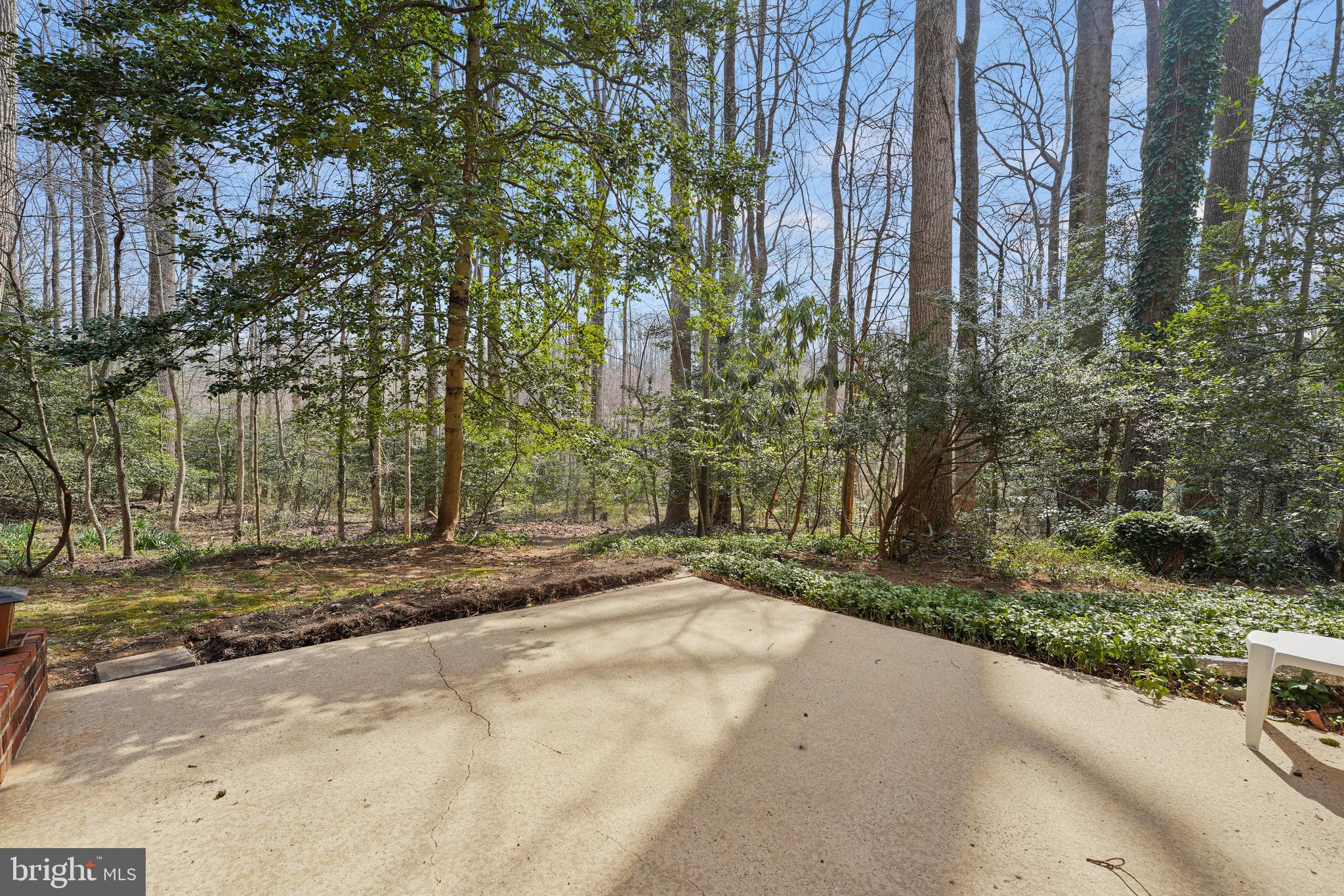 2307 Short Ridge Road Reston, VA 20191 - Photo 46 of 60