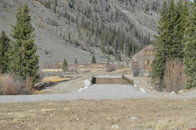 a view of a yard with trees