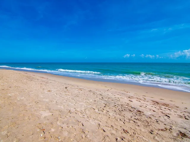 a view of a lake from a yard with palm trees
