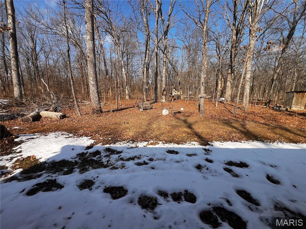 2921 Lazy Acre Road Odin, IL 62870 - Photo 16 of 46