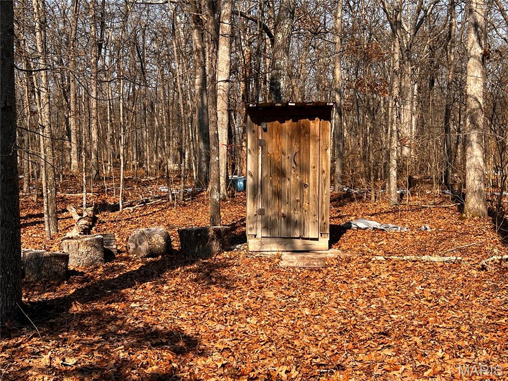 2921 Lazy Acre Road Odin, IL 62870 - Photo 21 of 46