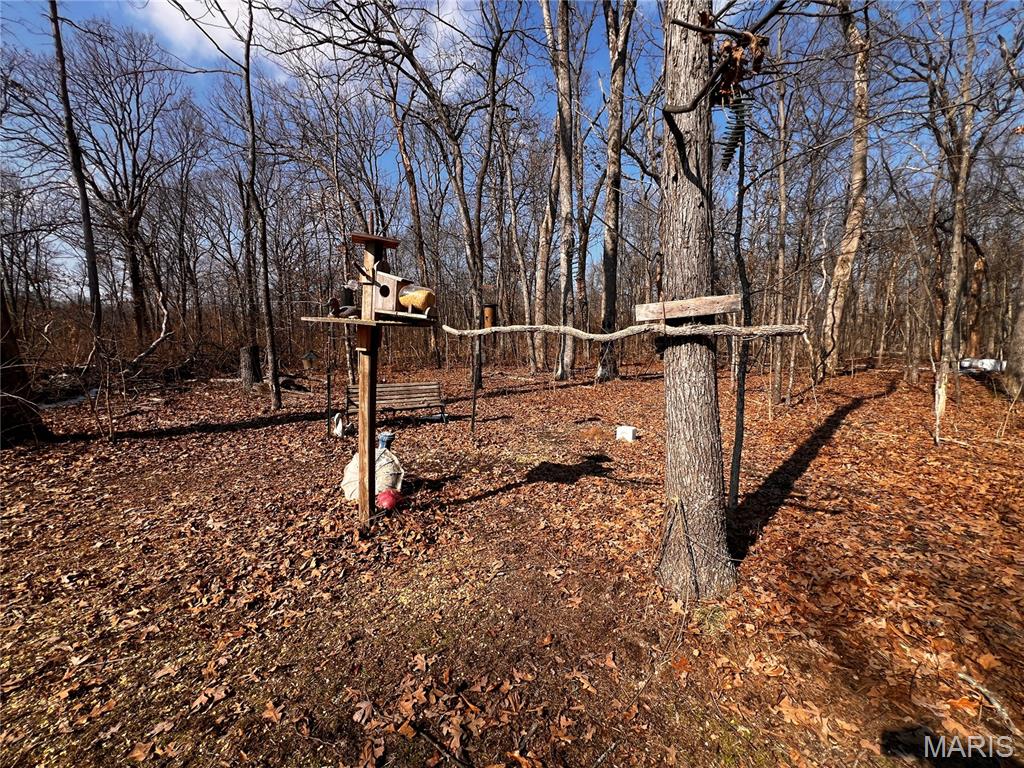 2921 Lazy Acre Road Odin, IL 62870 - Photo 22 of 46