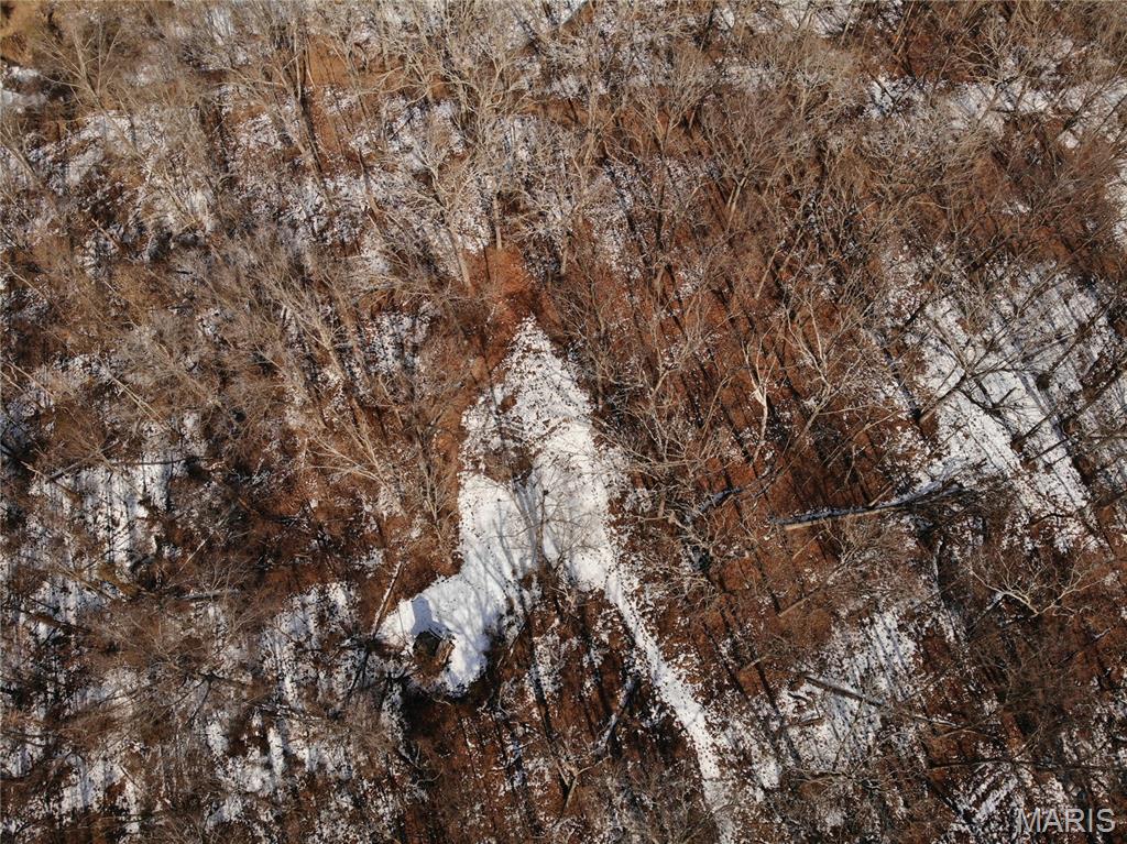 2921 Lazy Acre Road Odin, IL 62870 - Photo 24 of 46