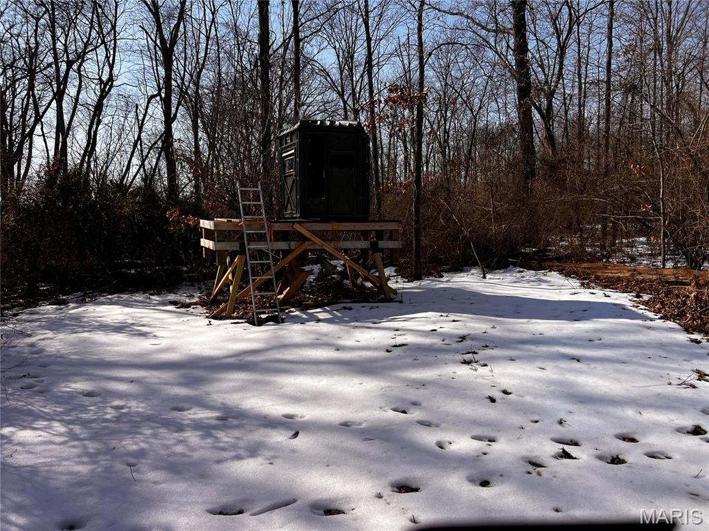 2921 Lazy Acre Road Odin, IL 62870 - Photo 29 of 46