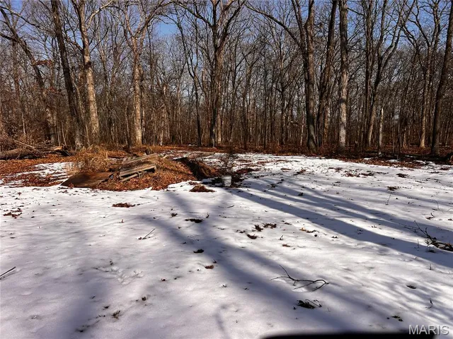 $215,000 | 2921 Lazy Acre Road, Odin, IL 62870