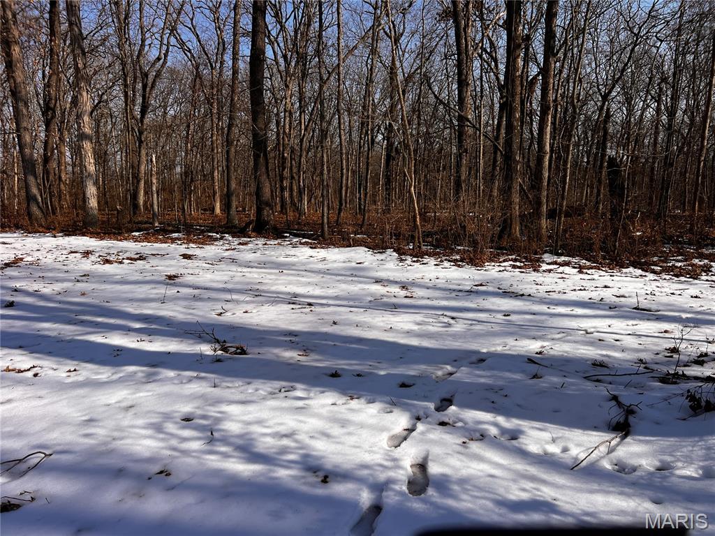 2921 Lazy Acre Road Odin, IL 62870 - Photo 31 of 46