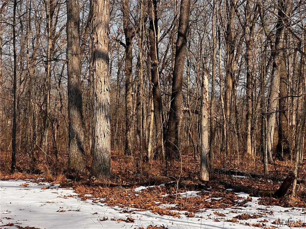 2921 Lazy Acre Road Odin, IL 62870 - Photo 32 of 46