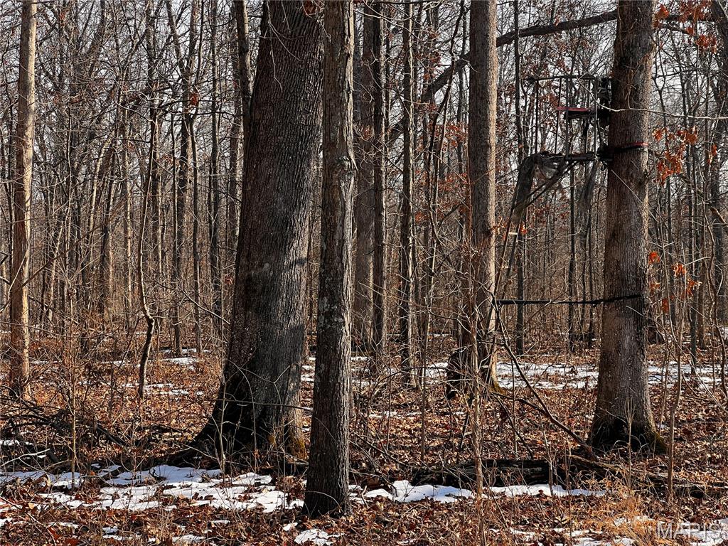 2921 Lazy Acre Road Odin, IL 62870 - Photo 33 of 46