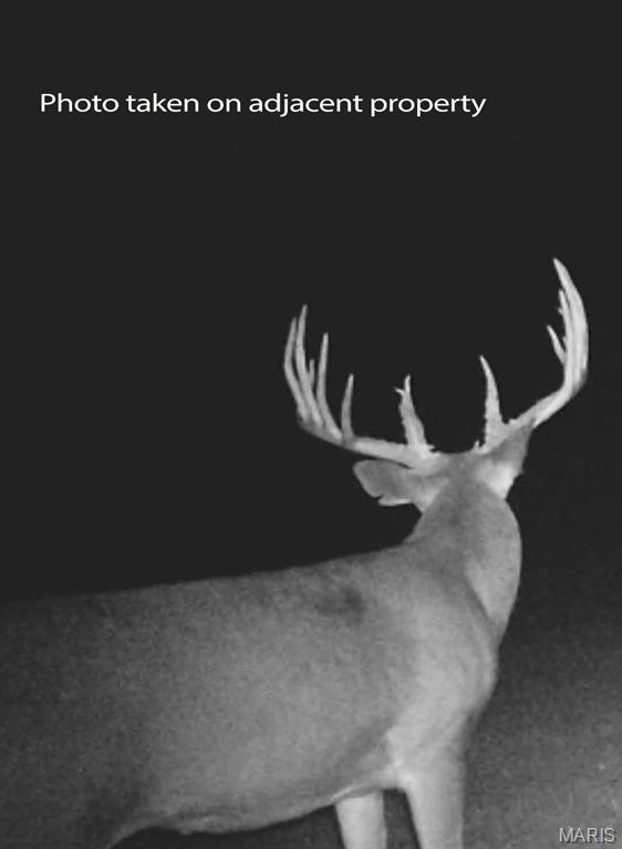 2921 Lazy Acre Road Odin, IL 62870 - Photo 34 of 46