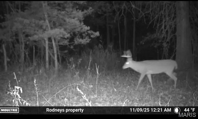 $215,000 | 2921 Lazy Acre Road, Odin, IL 62870