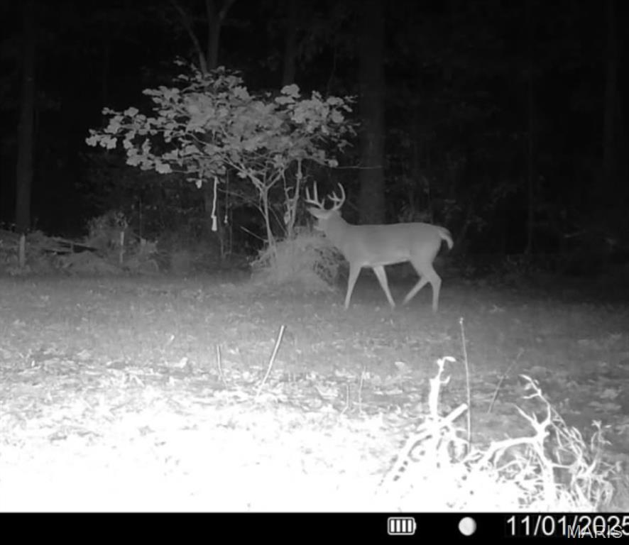 2921 Lazy Acre Road Odin, IL 62870 - Photo 36 of 42