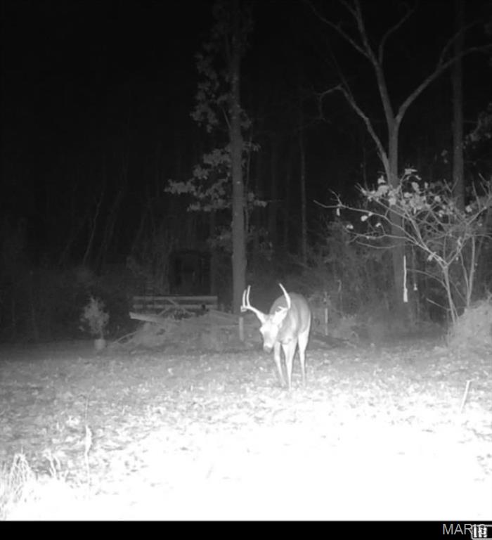 2921 Lazy Acre Road Odin, IL 62870 - Photo 37 of 42