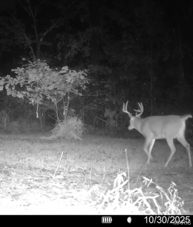 2921 Lazy Acre Road Odin, IL 62870 - Photo 39 of 46