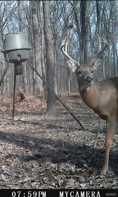 2921 Lazy Acre Road Odin, IL 62870 - Photo 41 of 46