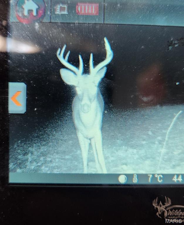 2921 Lazy Acre Road Odin, IL 62870 - Photo 42 of 46