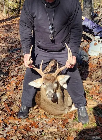 $215,000 | 2921 Lazy Acre Road, Odin, IL 62870