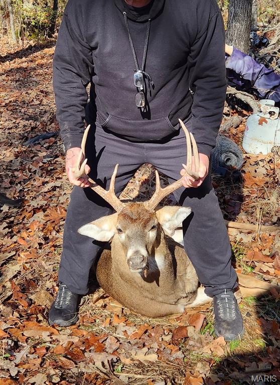 2921 Lazy Acre Road Odin, IL 62870 - Photo 44 of 46