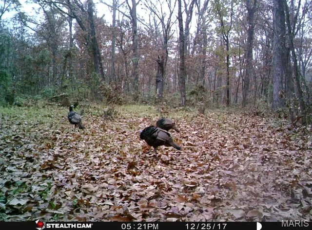 $215,000 | 2921 Lazy Acre Road, Odin, IL 62870