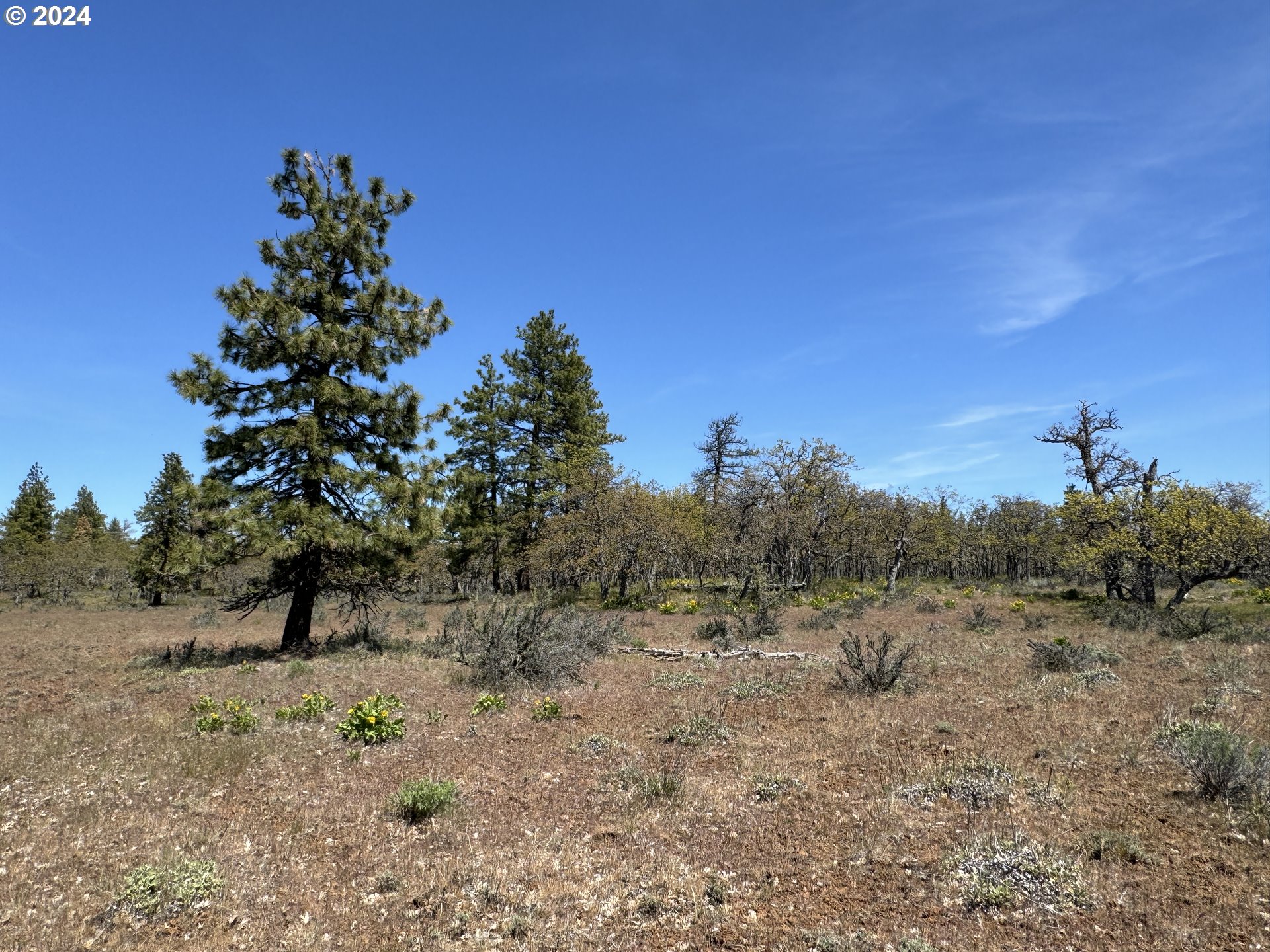 0 D Pine Road Goldendale, WA 98620 - Photo 3 of 24 Gallery Image 3