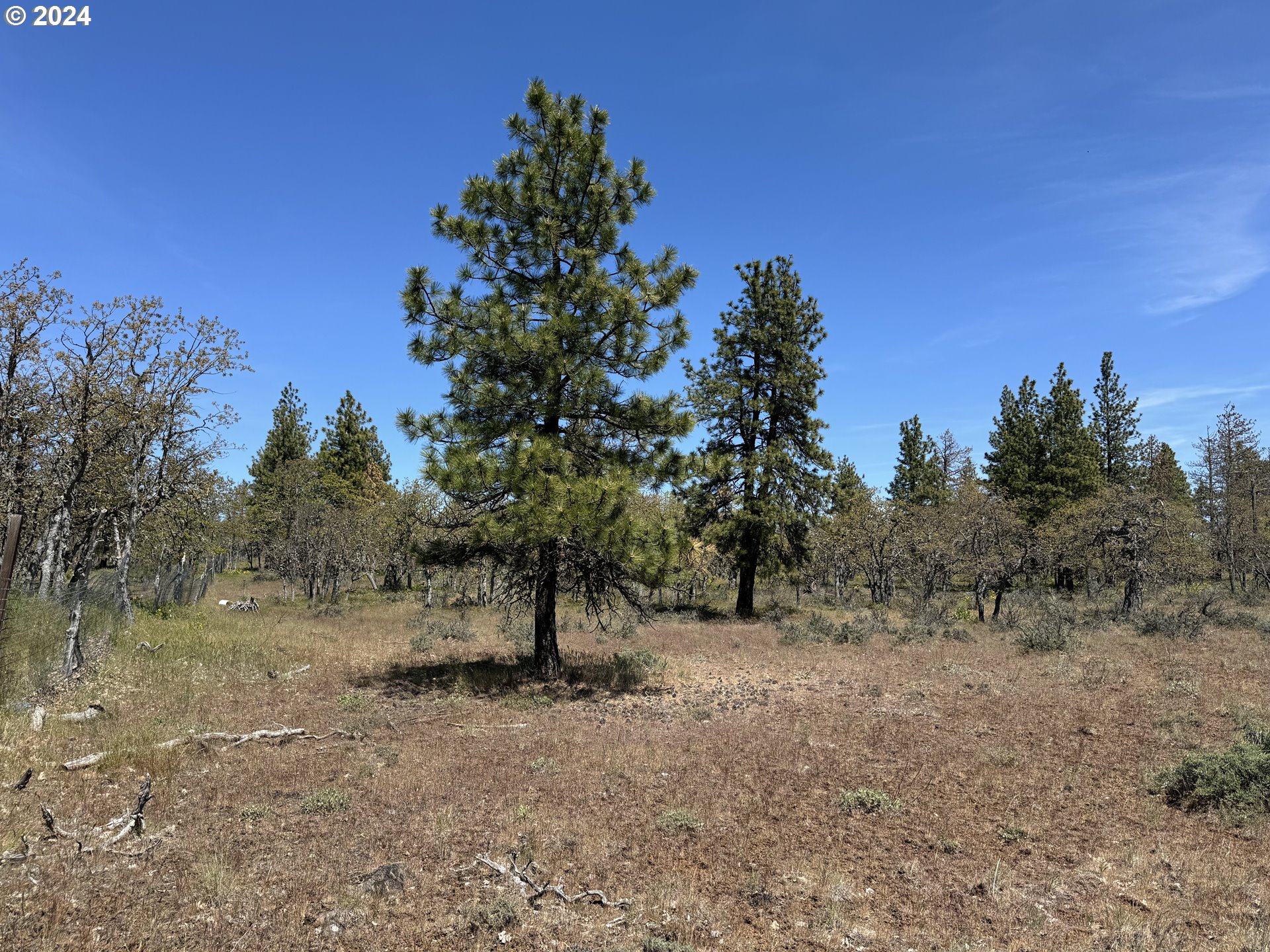 0 D Pine Road Goldendale, WA 98620 - Photo 8 of 24 Gallery Image 8
