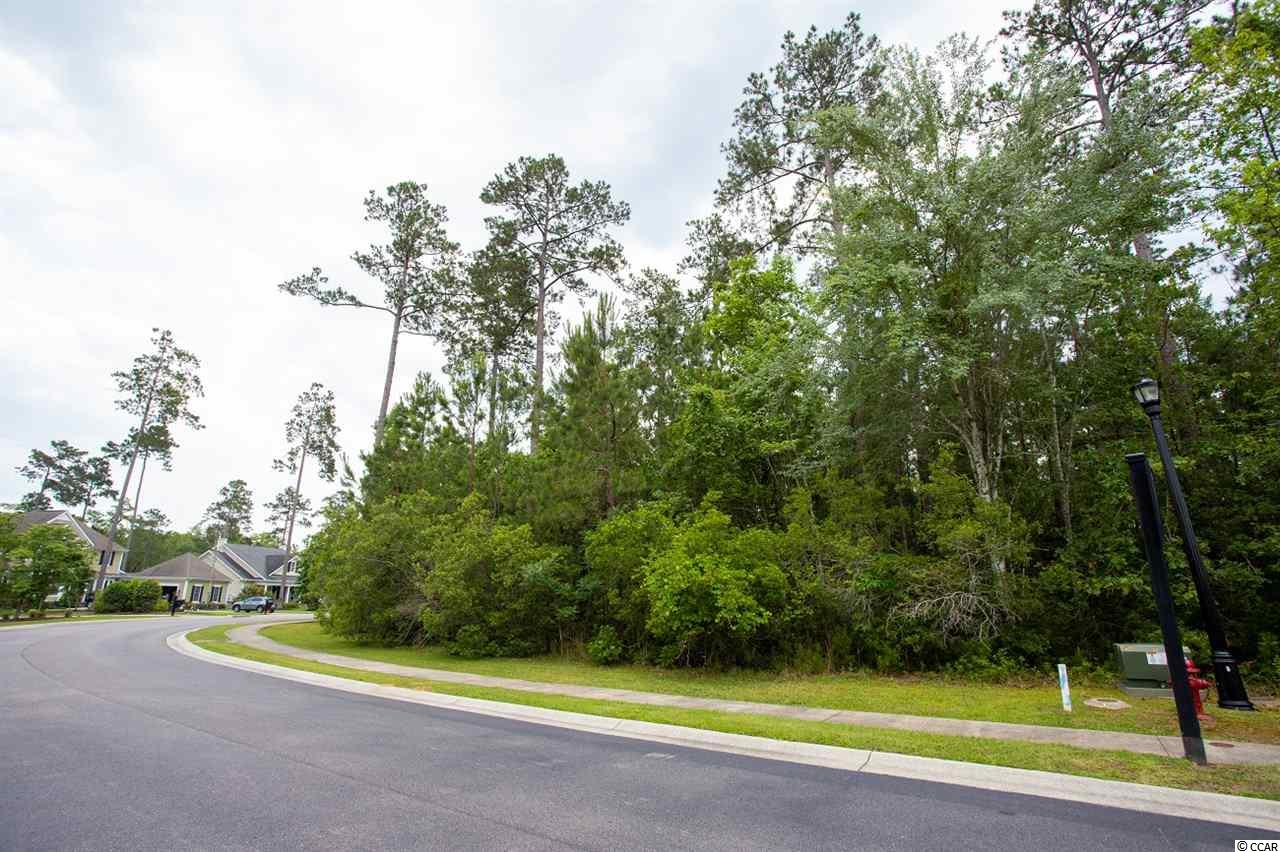 191 Low Country Loop Murrells Inlet, SC 29576 - Photo 2 of 17