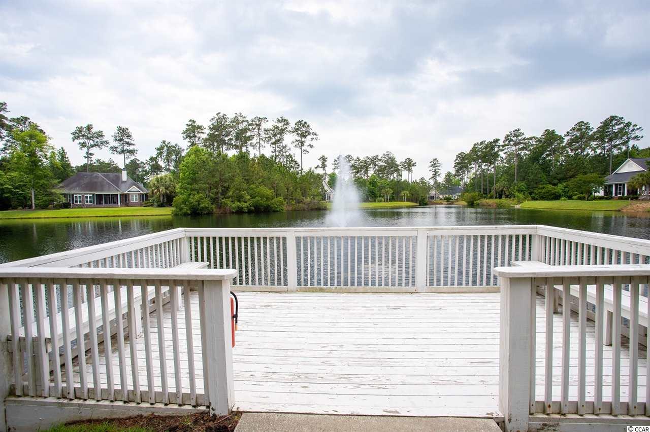 191 Low Country Loop Murrells Inlet, SC 29576 - Photo 16 of 17