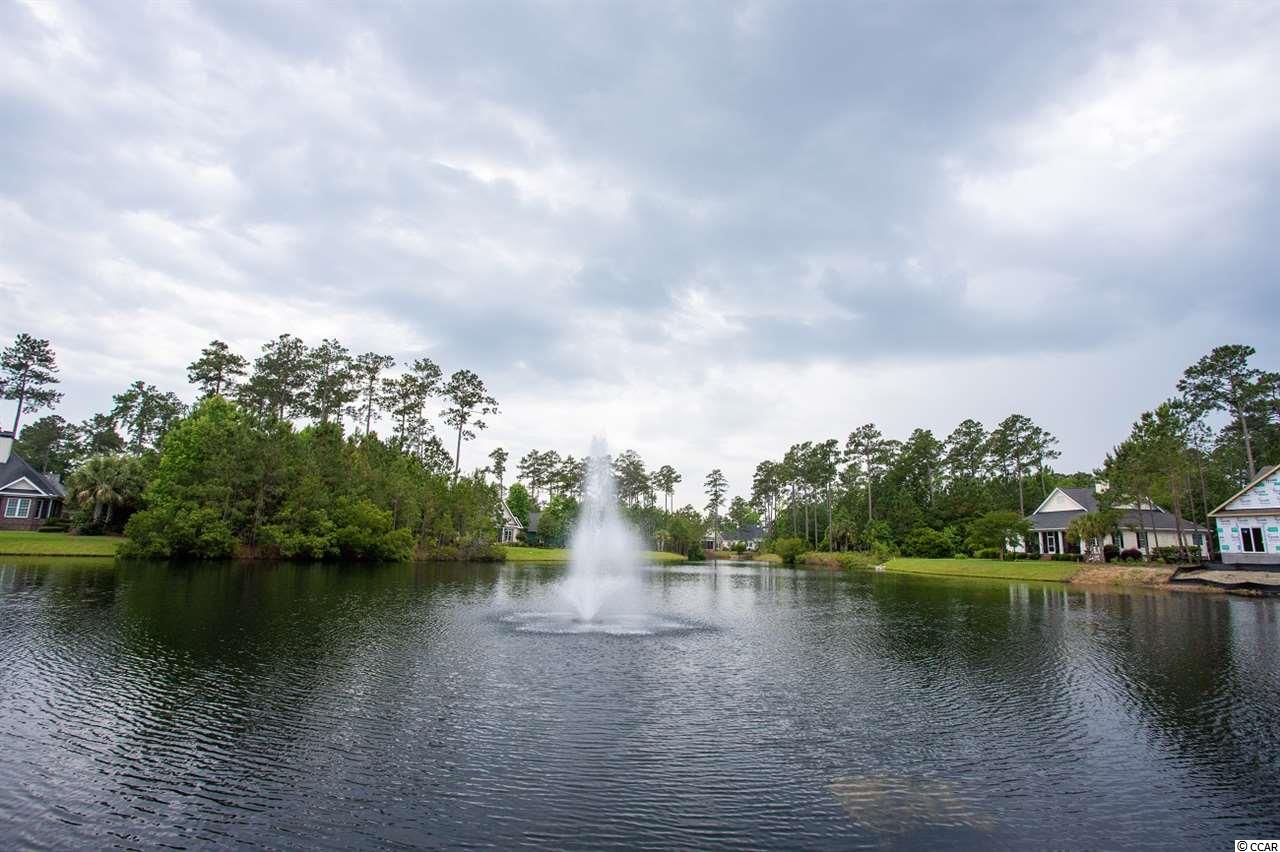 191 Low Country Loop Murrells Inlet, SC 29576 - Photo 17 of 17