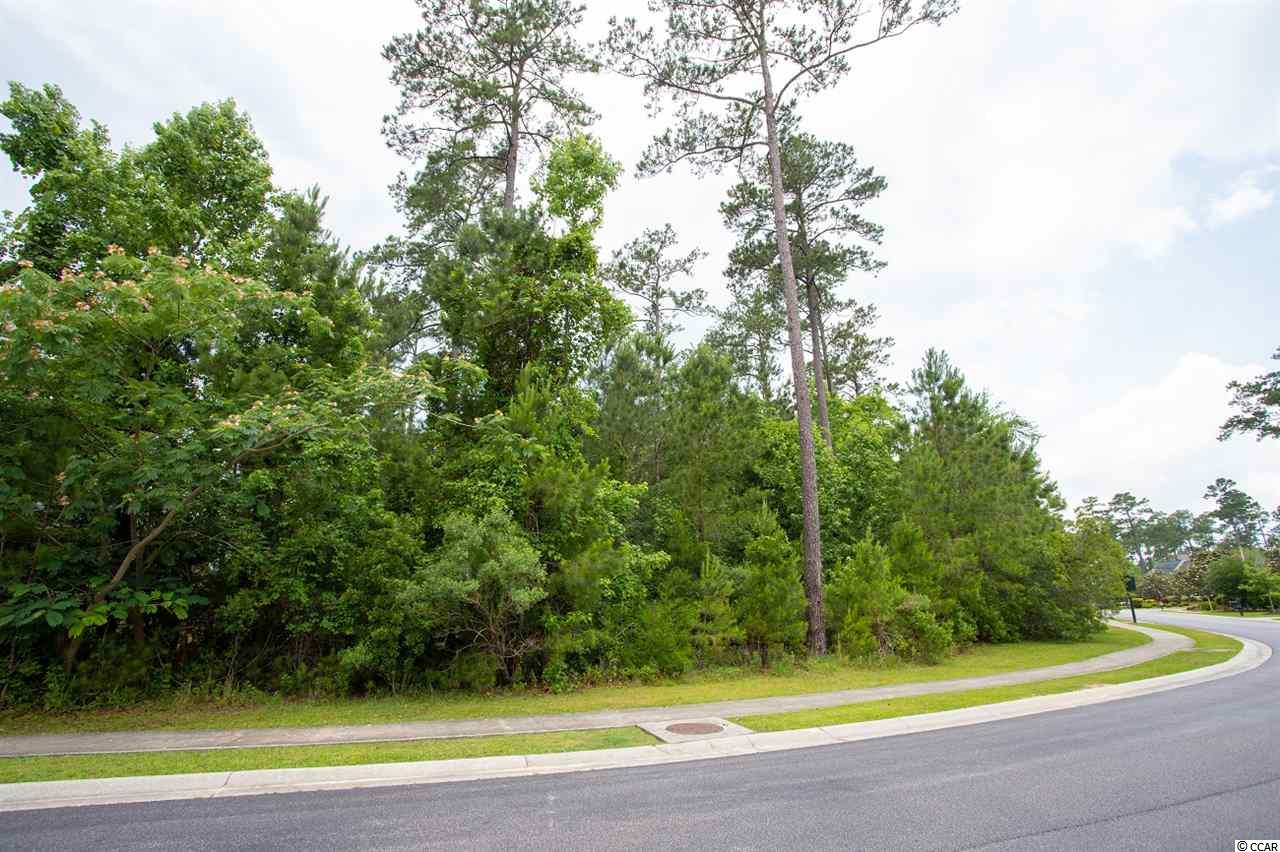 191 Low Country Loop Murrells Inlet, SC 29576 - Photo 3 of 17
