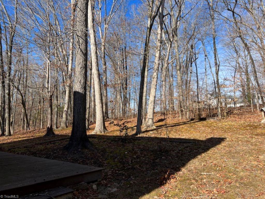 2027 Milling Road Mocksville, NC 27028 - Photo 6 of 37