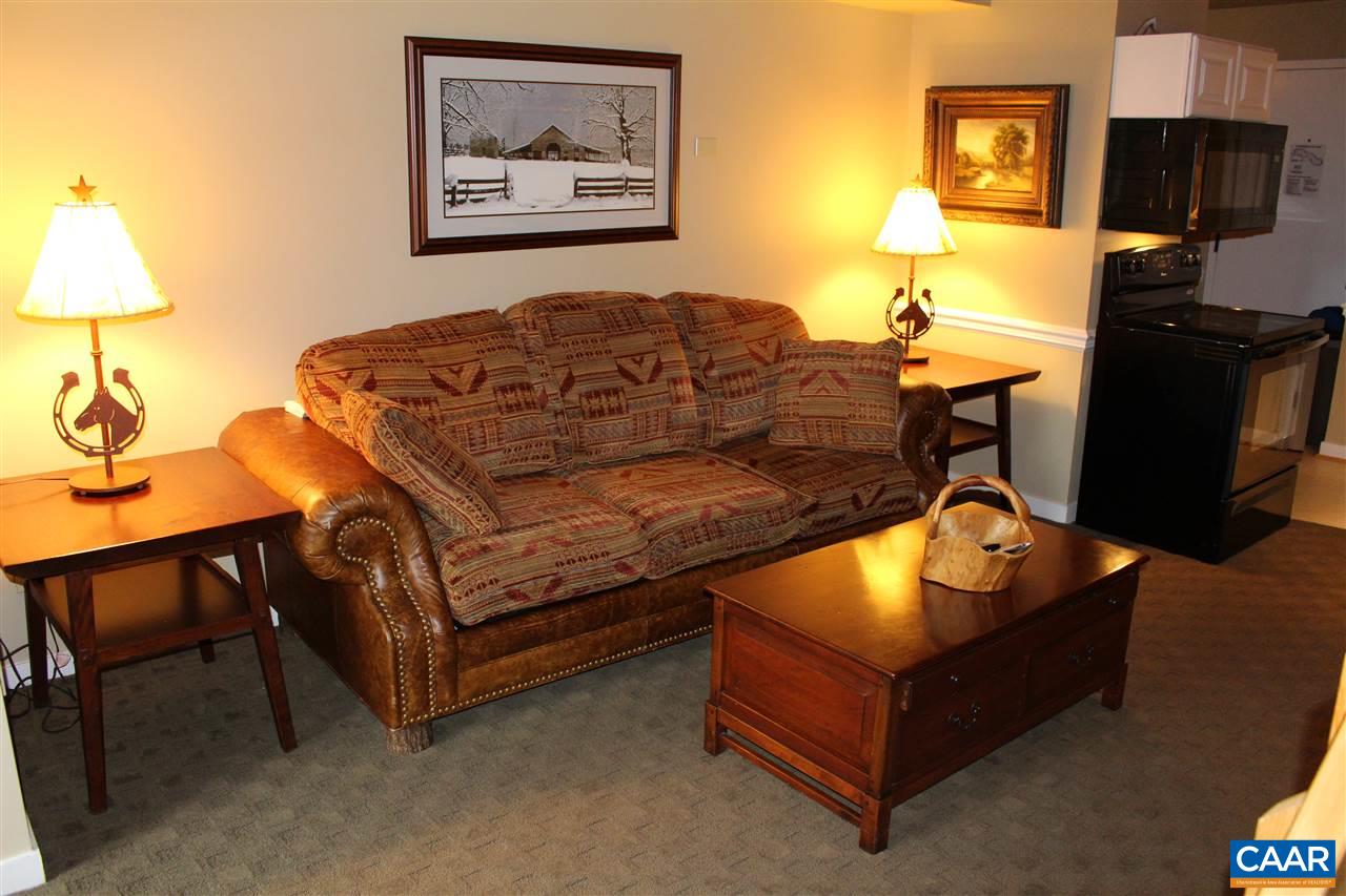 171 Mountain Inn Loop Wintergreen, VA 22967 - Photo 1 of 14 Gallery Image 1