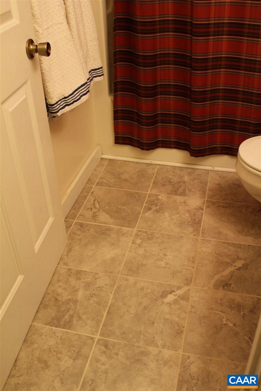 171 Mountain Inn Loop Wintergreen, VA 22967 - Photo 11 of 14 Gallery Image 11