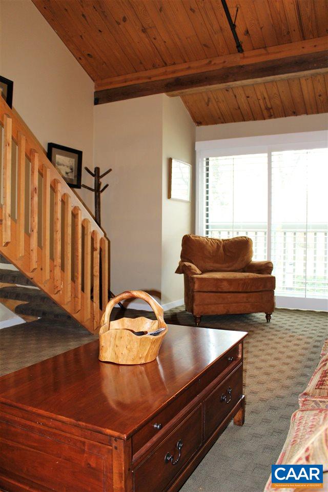 171 Mountain Inn Loop Wintergreen, VA 22967 - Photo 3 of 14 Gallery Image 3