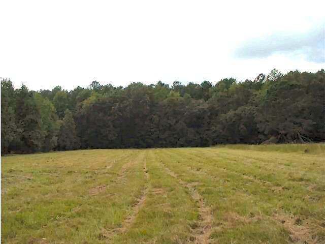 Lot A2 Toogoodoo Road Meggett, SC 29449 - Photo 1 of 3 4 acres pasture