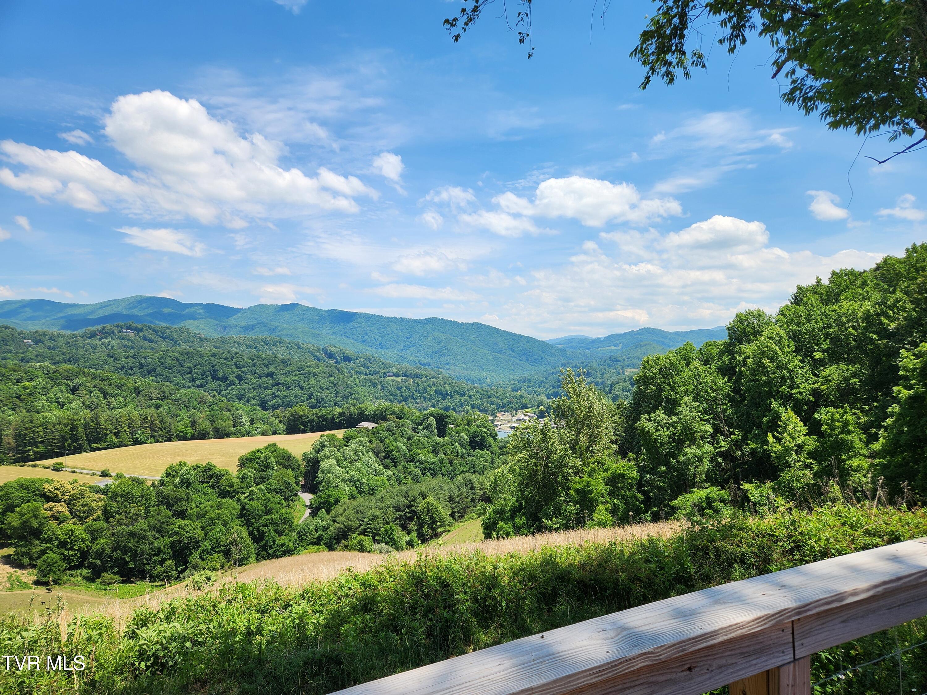 Lot 40 Cowan Town Road, Unit 40 Butler, TN 37640 - Photo 73 of 117 View from Villa Nove