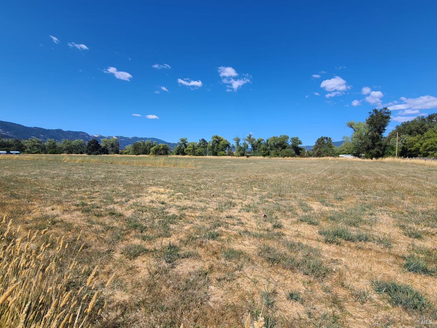 75500 Covelo Road Covelo, CA 95428 - Photo 48 of 54