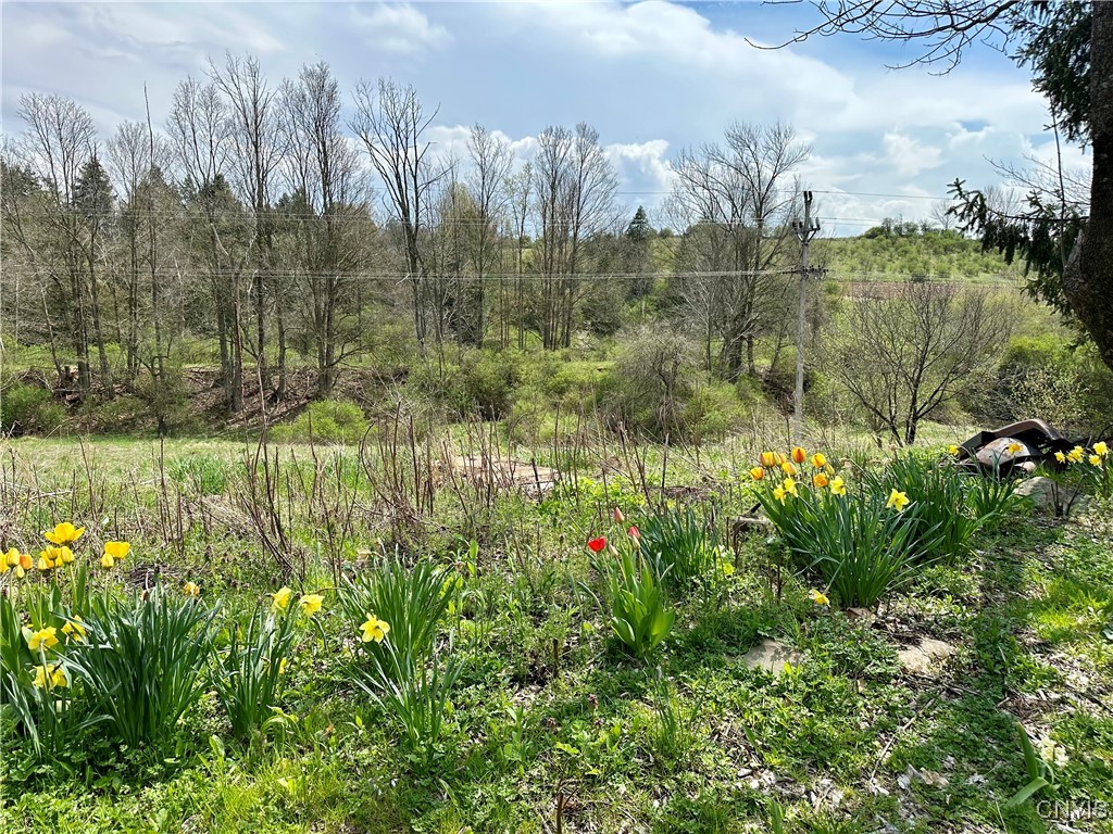 7294 Valley Road Madison, NY 13402 - Photo 3 of 36