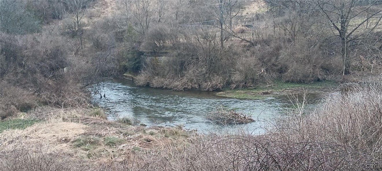 7294 Valley Road Madison, NY 13402 - Photo 9 of 36 Back yard view!