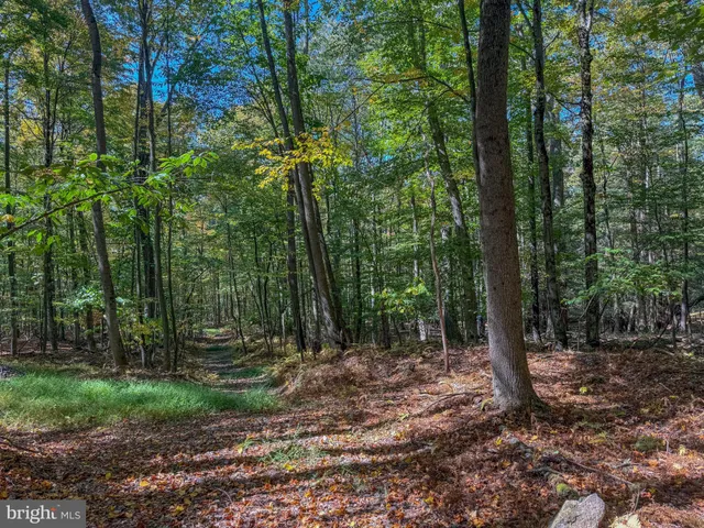 $34,000 | 9 Timber Falls Road, Oakland, MD 21550