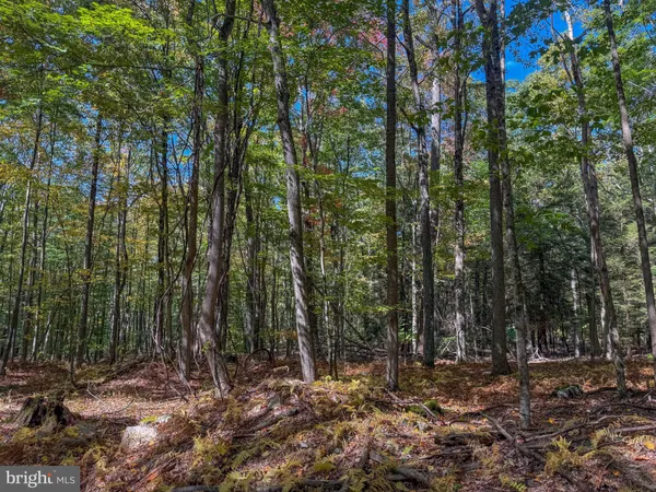 $34,000 | 9 Timber Falls Road, Oakland, MD 21550