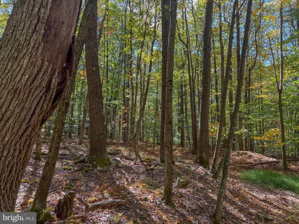 $34,000 | 9 Timber Falls Road, Oakland, MD 21550