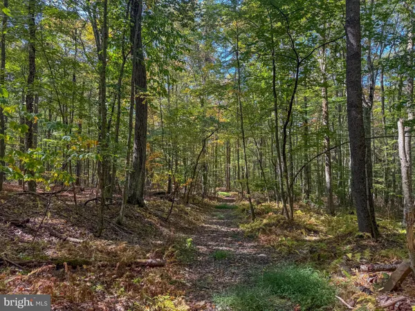 $34,000 | 9 Timber Falls Road, Oakland, MD 21550