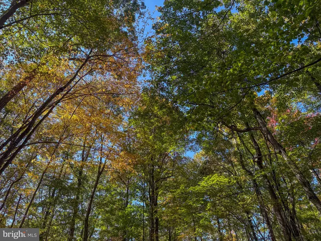 $34,000 | 9 Timber Falls Road, Oakland, MD 21550