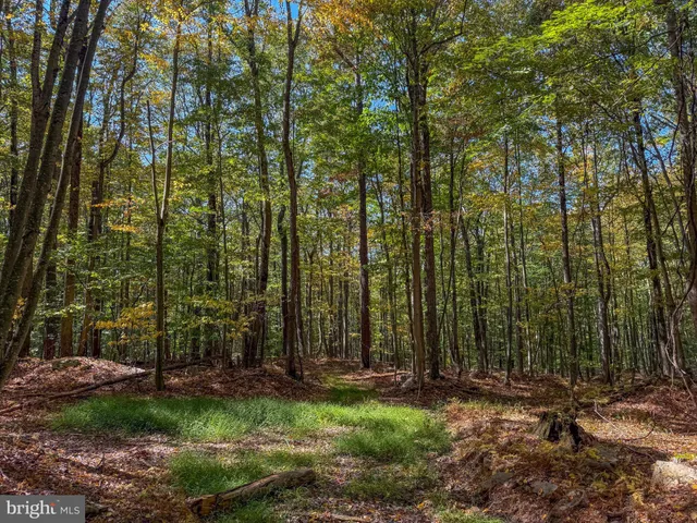 $34,000 | 9 Timber Falls Road, Oakland, MD 21550