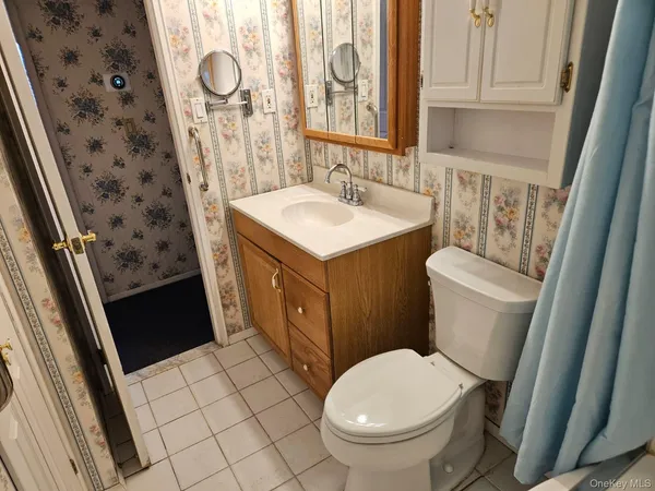 a bathroom with a sink and a toilet