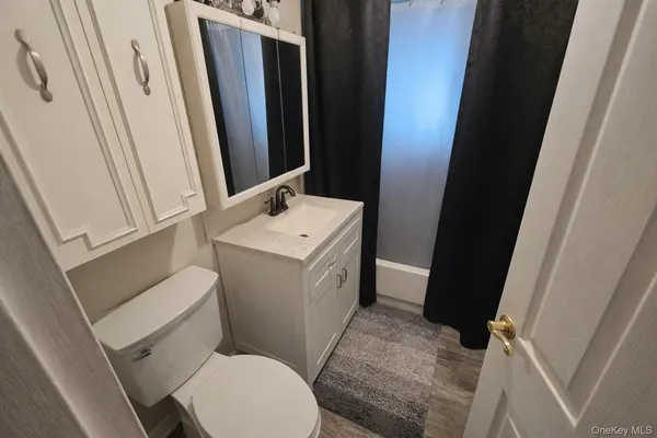 a bathroom with a sink a toilet a mirror and vanity