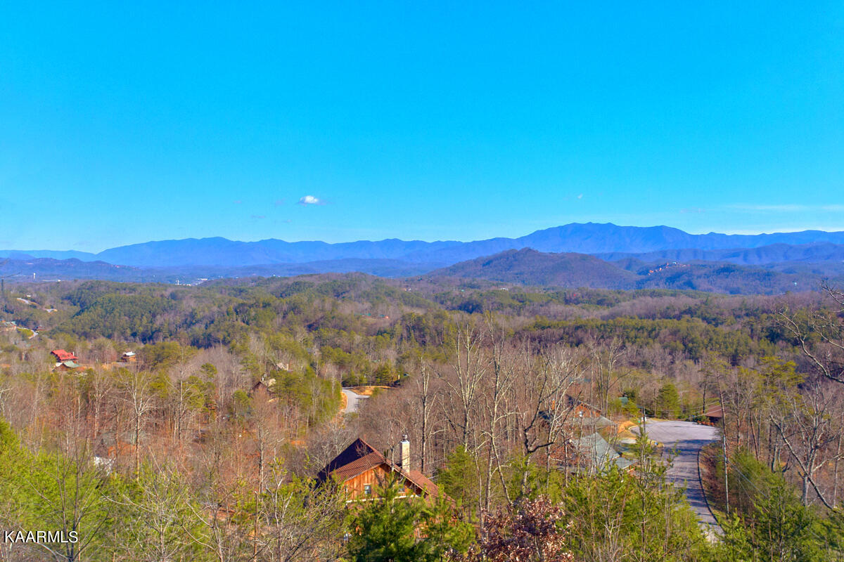 1705 Pine Grove Road Sevierville, TN 37876 - Photo 4 of 18 VIEWS