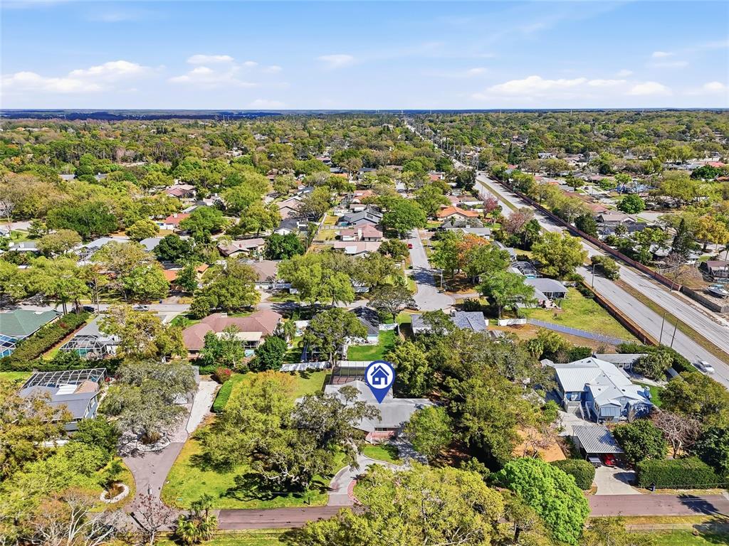 2817 Fleeman Road Palm Harbor, FL 34683 - Photo 55 of 61