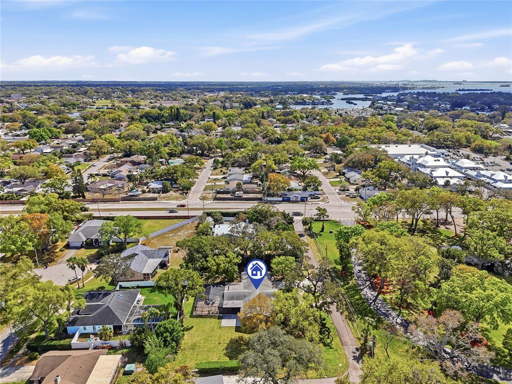 2817 Fleeman Road Palm Harbor, FL 34683 - Photo 56 of 61